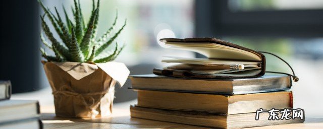 杨万里的《宿新市徐公店》这首诗写的是什么季节?