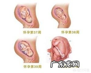 怀孕36周时宝宝才4斤多,怎样可以长得快一点?