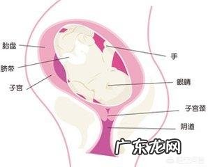怀孕36周时宝宝才4斤多,怎样可以长得快一点?