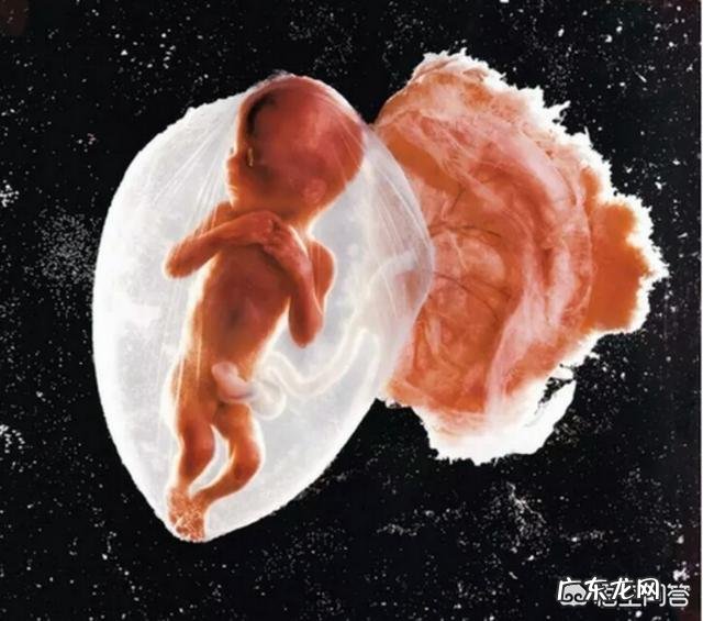 怀孕36周时宝宝才4斤多,怎样可以长得快一点?