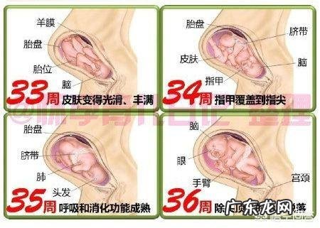 怀孕36周时宝宝才4斤多,怎样可以长得快一点?