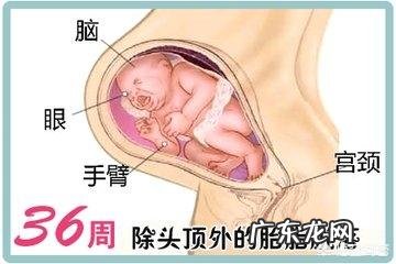 怀孕36周时宝宝才4斤多,怎样可以长得快一点?