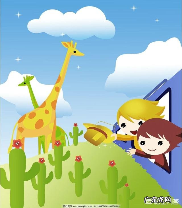 宝宝辅食该怎么慢慢添加?