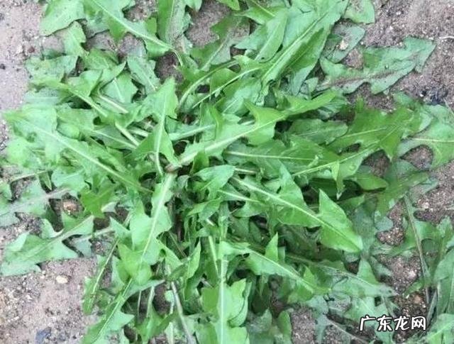 糖尿病患者的饮食禁忌有哪些?