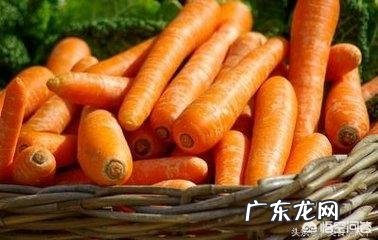 幼儿营养粥的做法有哪些？