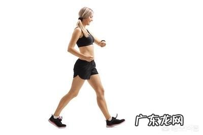 最近身体发福，影响生活质量，请问有怎样的食谱可以帮助减肥？