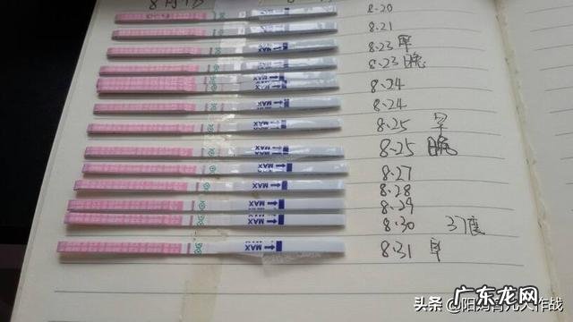 什么时候最容易怀上宝宝?该如何备孕?