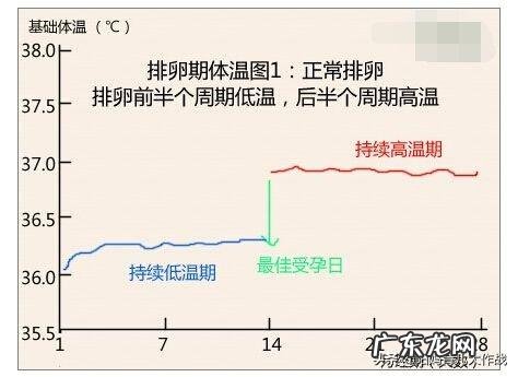 什么时候最容易怀上宝宝?该如何备孕?
