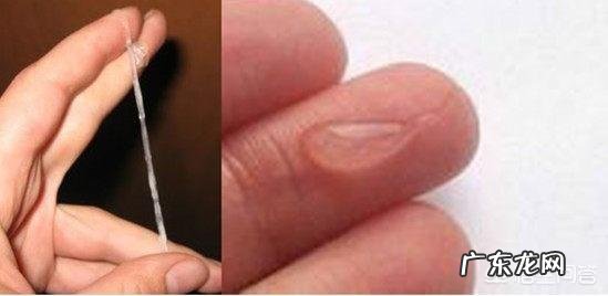 什么时候最容易怀上宝宝?该如何备孕?