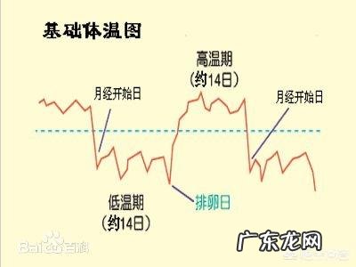 什么时候最容易怀上宝宝?该如何备孕?