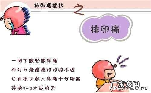 什么时候最容易怀上宝宝?该如何备孕?