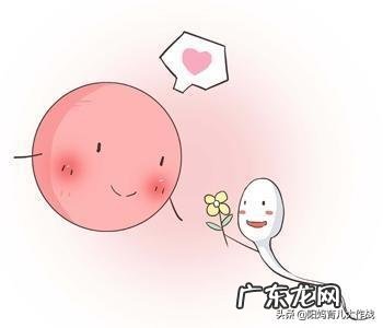 什么时候最容易怀上宝宝?该如何备孕?