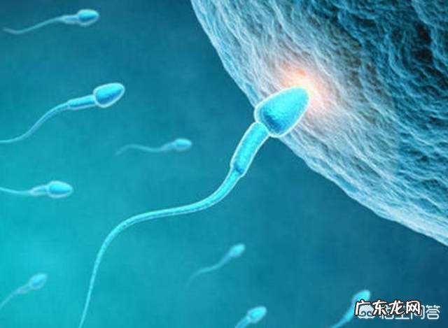 什么时候最容易怀上宝宝?该如何备孕?