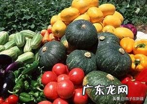 蔬菜价格止跌了,后面是要涨吗?