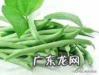 蔬菜价格止跌了,后面是要涨吗?