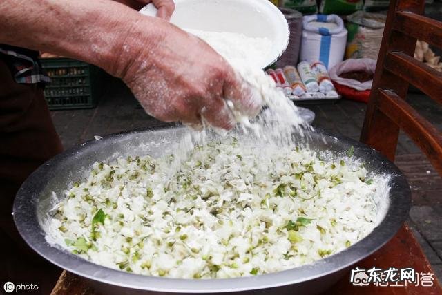 洋槐花虽然好吃,但不一定谁都可以吃,哪些人不能吃洋槐花?