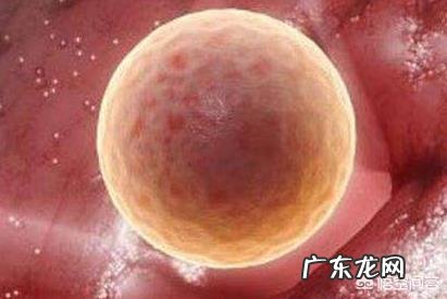 卵泡发育不好怎么办?