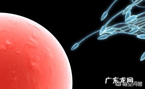 女性安全期所谓的“前七后八”是什么意思?安全期又是如何计算的呢?