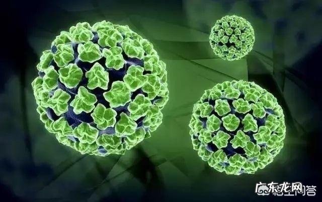 已经感染了HPV还有必要打疫苗吗?