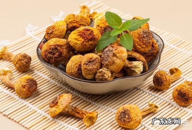 已经感染了HPV还有必要打疫苗吗?