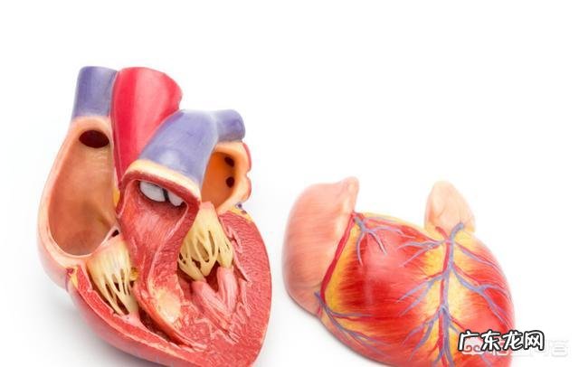 法洛四联症是什么病?