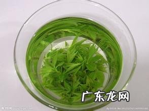喝什么茶能减肥?