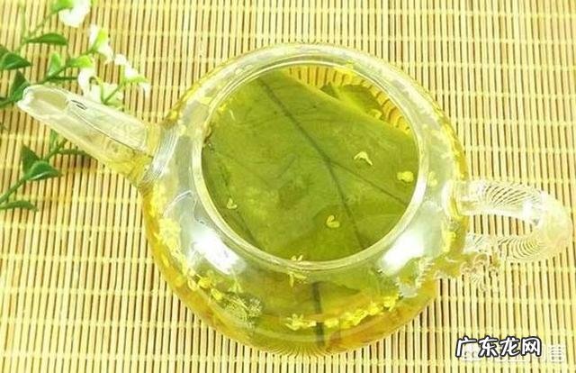 喝什么茶能减肥?