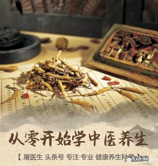 吃什么食物有补肾的作用？