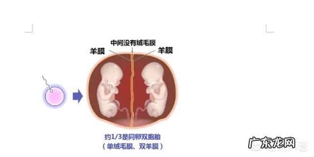 哪些人容易生双胞胎？
