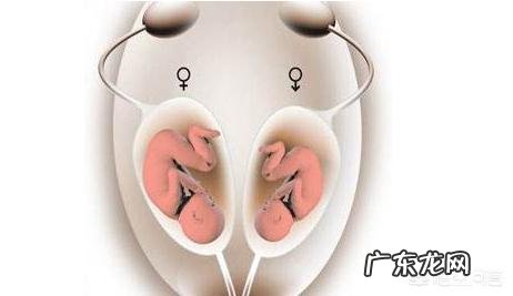 哪些人容易生双胞胎？