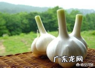 糖醋大蒜怎么做?