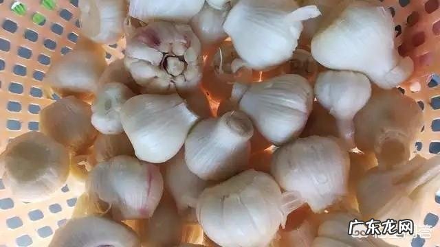 糖醋大蒜怎么做?