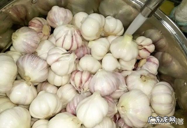 糖醋大蒜怎么做?