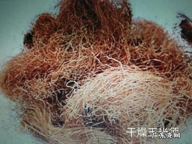 秦皮,玉米须和丝瓜络一起熬煮的功效?如何正确配比?