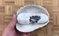 八月瓜什么时候成熟