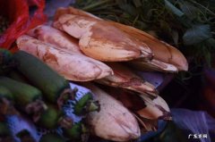 粽包的功效与作用