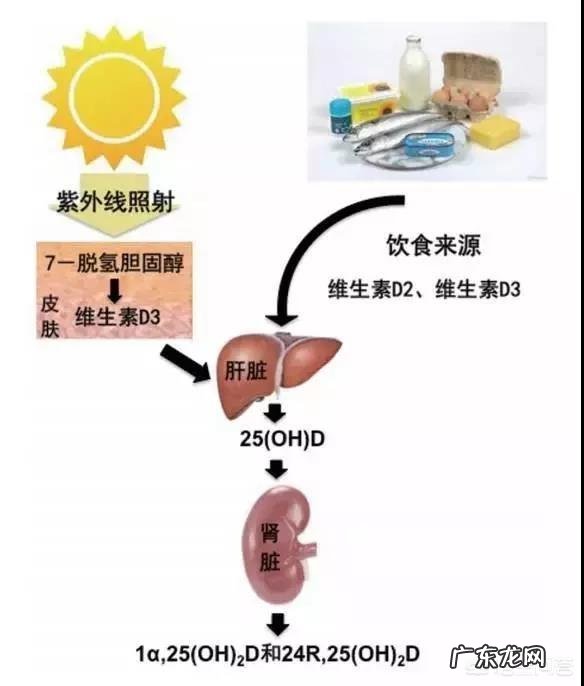 对于身高较矮的人,该如何提高身高?