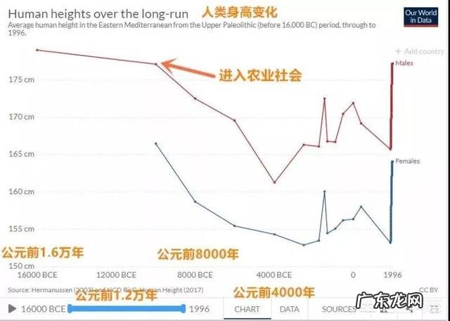 对于身高较矮的人,该如何提高身高?