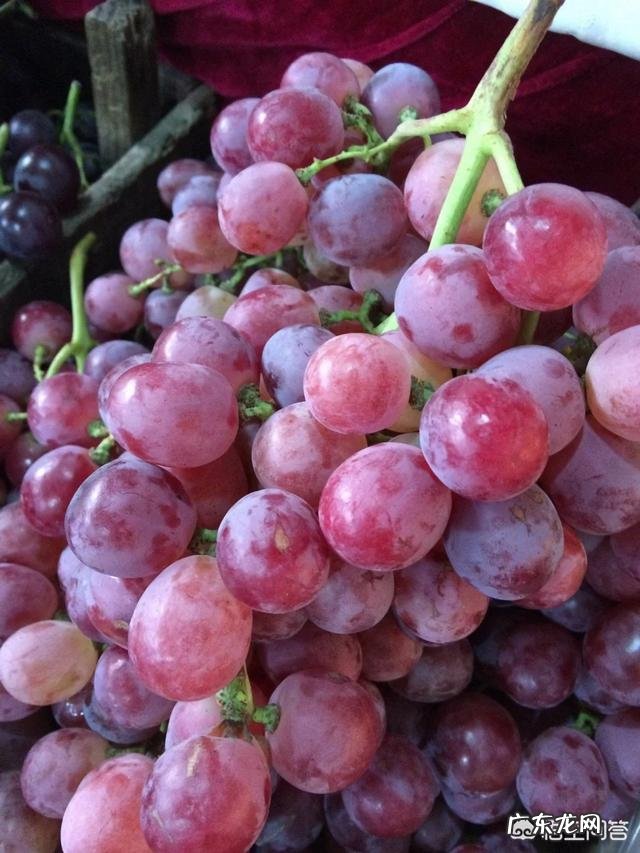 我老婆怀孕了,哪位头条好友能提供个合理膳食的孕妇食谱吗?