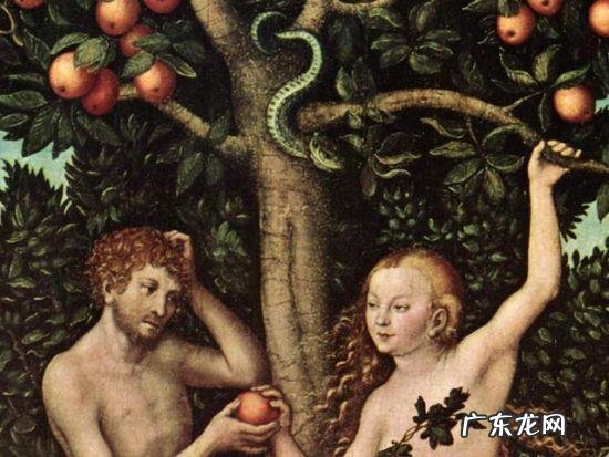 性教育是终生教育,您认同吗?