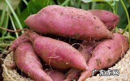 10月24日，就是“霜降”节气了，饮食上吃点啥好？又该如何养生，健康过冬？