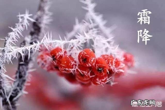 10月24日,就是“霜降”节气了,饮食上吃点啥好?又该如何养生,健康过冬?