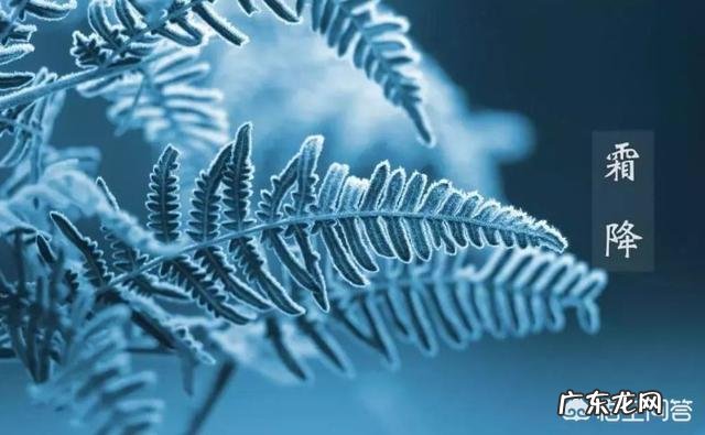 10月24日，就是“霜降”节气了，饮食上吃点啥好？又该如何养生，健康过冬？