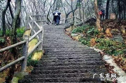 10月24日，就是“霜降”节气了，饮食上吃点啥好？又该如何养生，健康过冬？