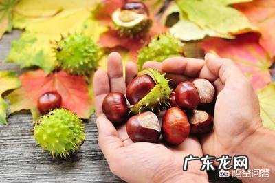 10月24日,就是“霜降”节气了,饮食上吃点啥好?又该如何养生,健康过冬?