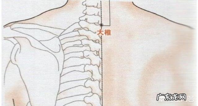 10月24日,就是“霜降”节气了,饮食上吃点啥好?又该如何养生,健康过冬?