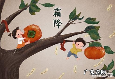 10月24日,就是“霜降”节气了,饮食上吃点啥好?又该如何养生,健康过冬?