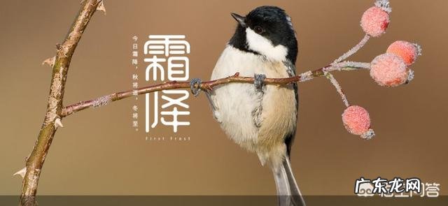 10月24日,就是“霜降”节气了,饮食上吃点啥好?又该如何养生,健康过冬?