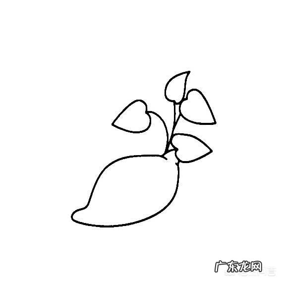 莲藕和红薯,哪个营养价值更高?