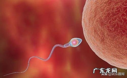 受孕成功的征兆是什么?